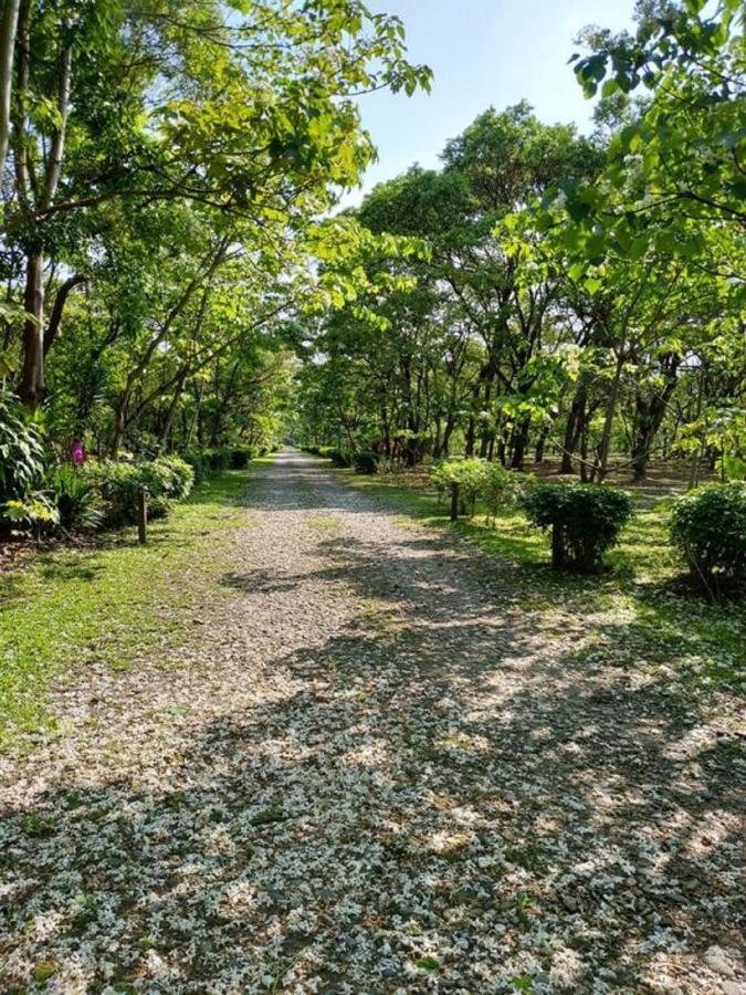 花蓮金澤居民宿樹窩民宿御安居民宿寵物友善 Ji'an Esterno foto