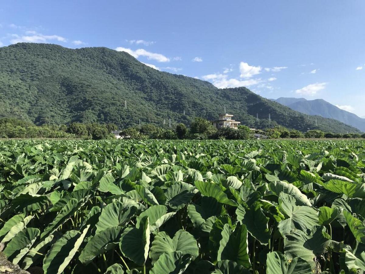 花蓮金澤居民宿樹窩民宿御安居民宿寵物友善 Ji'an Esterno foto